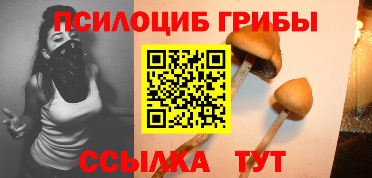 Галлюциногенные грибы Magic Shrooms Десногорск